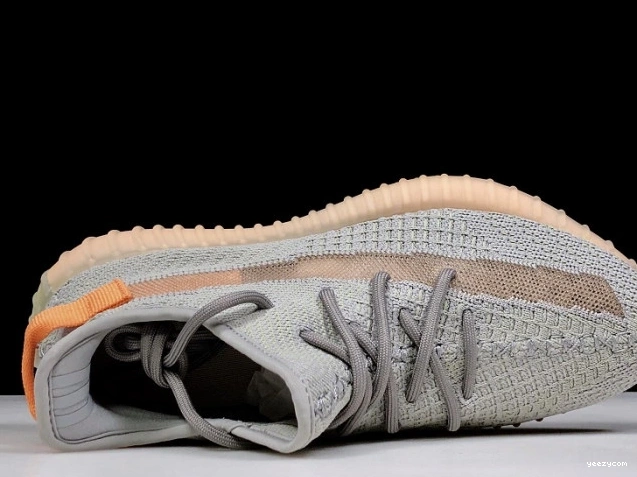 True 350 Form Adidas Boost Yeezy V2 EG7492 1105